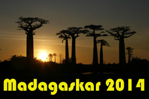 Madagaskar 2014